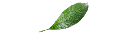 ara natura (1)